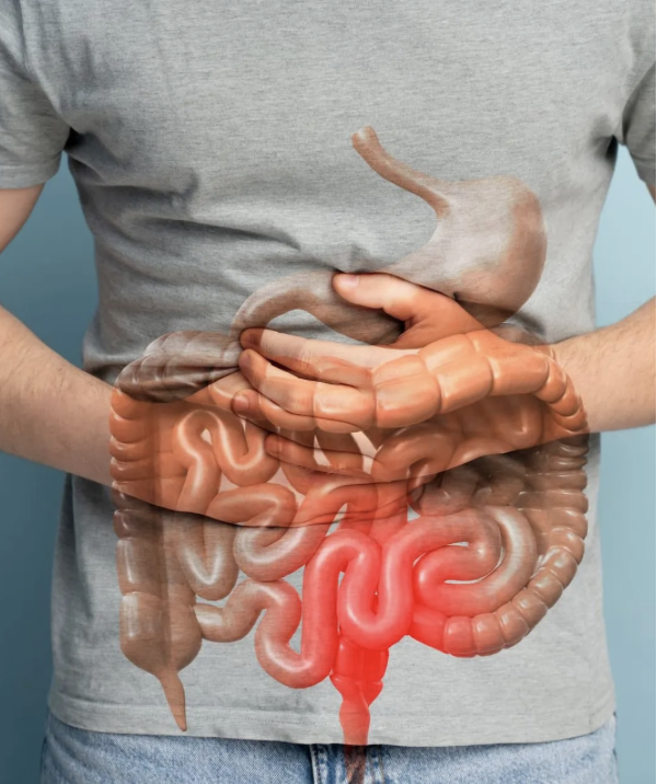 captura de tela 2025 09 04 às 12.52.03