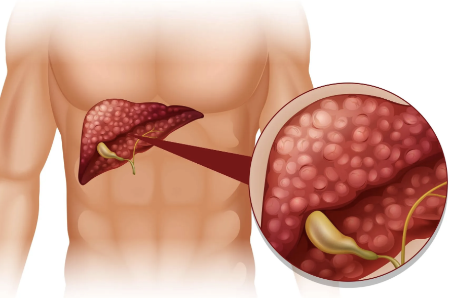 captura de tela 2025 09 17 às 11.21.43