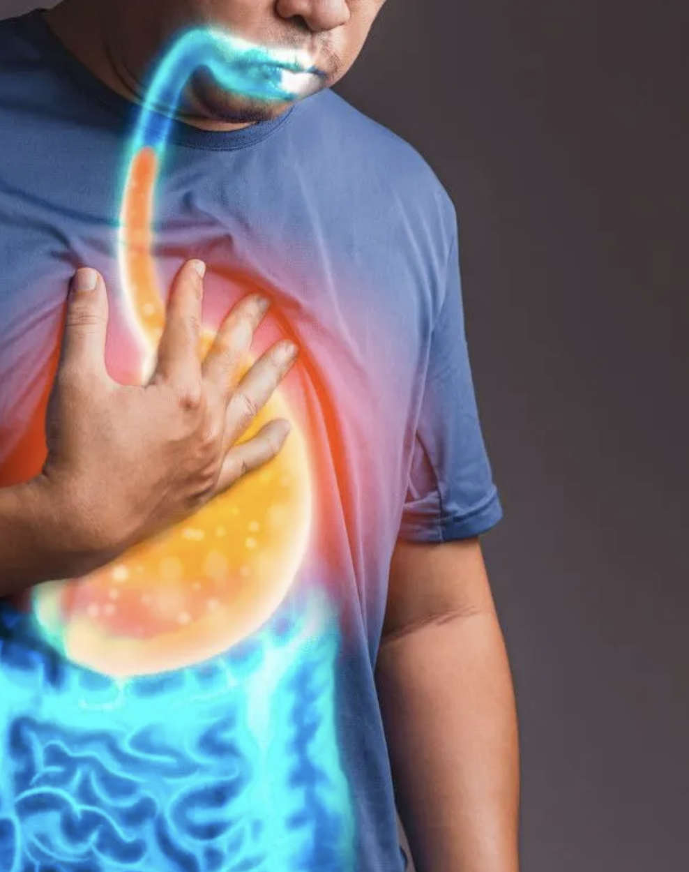 captura de tela 2025 09 17 às 11.21.53