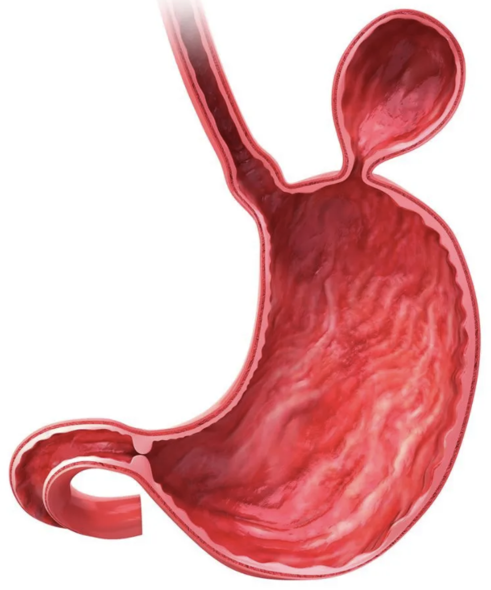 captura de tela 2025 09 17 às 11.22.04